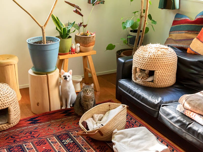 集合写真を撮って終了です