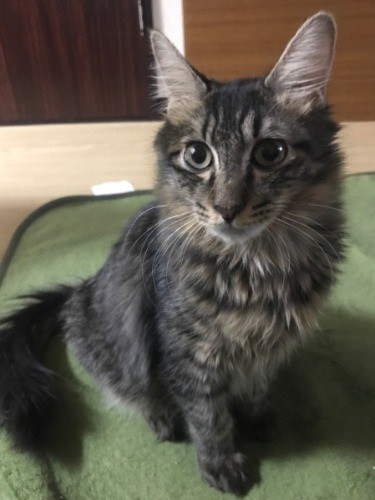 少ししか一緒にいられなかったけど、可愛い姿忘れないよ