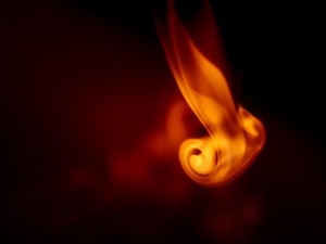 努力家の私が頑張れないとき、私に言う。「やる気は出るまで出すな」