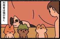 サウナを利用している猫たち　(C)pandania