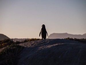 「生きててえらい」。画面の外でも私を支えてくれた優しい世界の言葉