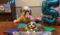 5歳の誕生日当時のてんぽくん©AUN／投稿主さん提供