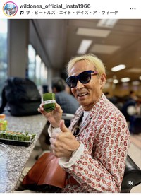 ザ・ワイルドワンズのインスタグラム＠wildones_official_insta1966より