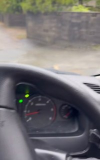 出勤前に車で移動していたところ、道路に鯉を発見したそう／Cockさん（@cock_fighter1134）