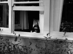 人生の3分の2以上を同じ人と過ごせる？豊かな人生へ軽くなれ、離婚 