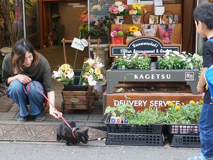 「明恵ママ、そろそろ散歩いこうよ」