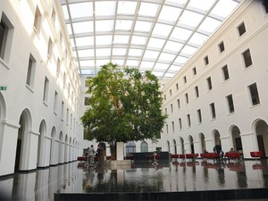 「自由貿易のバチカン」は生き返れるか　WTO、自分の首を絞めて陥った苦境