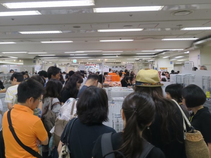 去年、京王での譲渡会で。小夏の兄弟は人気でした