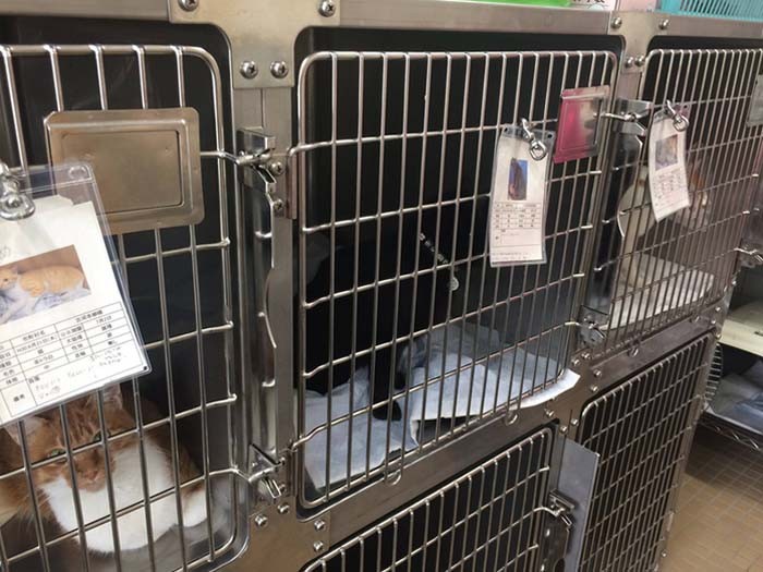 改革された施設では医療も施される