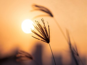 小4女子と楽しむ恋バナとメイク。キャンプで一泊、女同士の絆を深めた