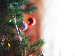 クリスマスはいつまでも、特別な日。サンタさんを今でも信じている私