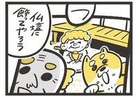 3人で仲良く暮らしていた時の写真（吉本ユータヌキさん提供）