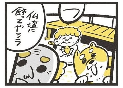 3人で仲良く暮らしていた時の写真（吉本ユータヌキさん提供）