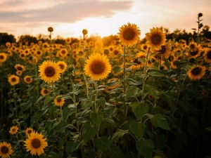 誰かのための余白を残してあげる「思いやり」がメディアにあったら