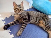 お迎え当初