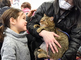 新たな出会いと殺処分ゼロめざして…保護猫の譲渡会