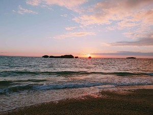 サーモンハラス