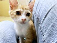 すくすくと成長していった月ちゃん（画像提供：たちつてとさん）