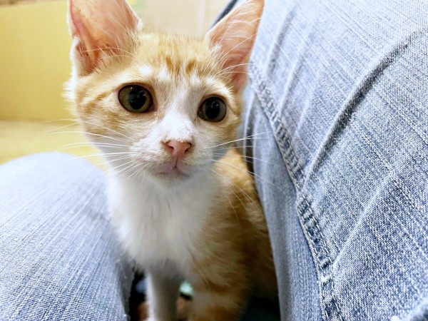 すくすくと成長していった月ちゃん（画像提供：たちつてとさん）