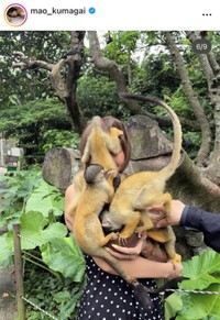 熊谷麻音インスタグラム(@mao_kumagai)より