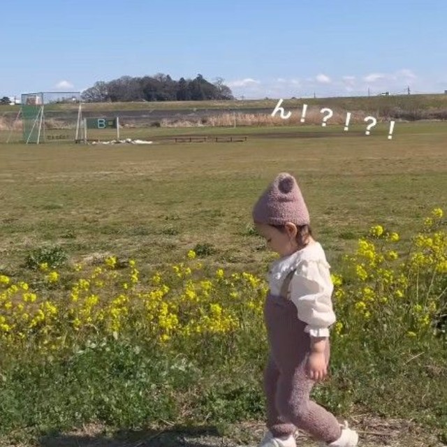 「ん！？」なにかを見つけたつっきーちゃん（提供：＠11.moon.yさん）
