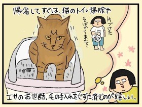 盆休み　さみしさと暴れる母性本能　やっぱ、猫じゃけぇ(32)