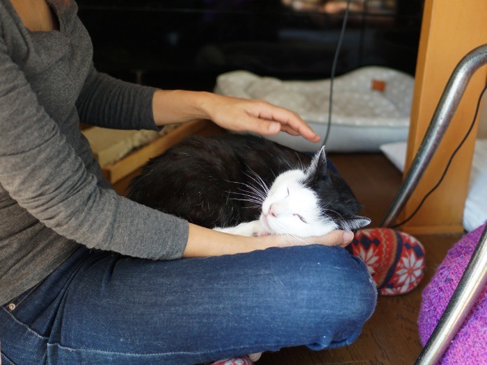 亀山さんの膝の上で