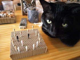 綿棒と爪とぎで猫を描く　簡単！人気の綿棒アート作りに挑戦