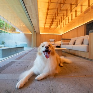 愛犬と過ごす“ワンダフル”なラグジュアリーホテル【Vol.03 レジーナリゾート由布院】