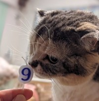 9歳の誕生日を迎えた日