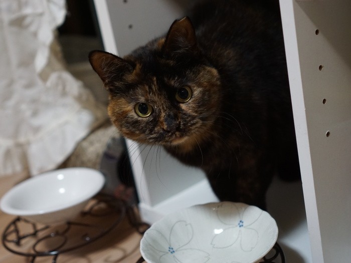 「可愛く撮ってよね」