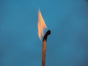 私は虐待を受けていたらしい。「家族と仲良く」は正解ではなかった