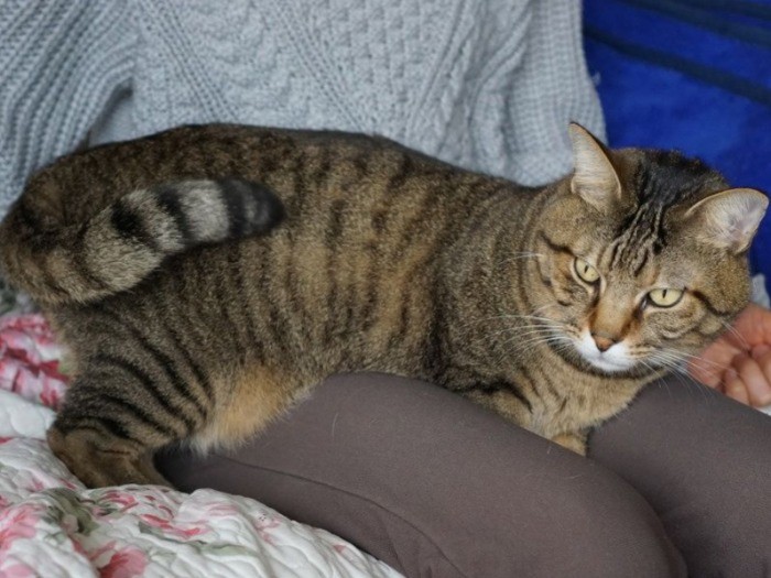 「僕もママの膝で癒やされているよ」