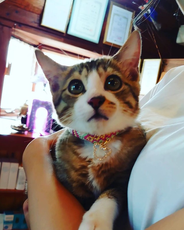 可愛すぎて手放したくなくなりそう