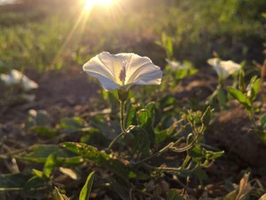 「頑張らない自分が悪いから仕方がない」友人のその言葉に、苛立ちを覚えた