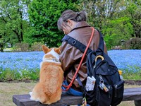 神楽ちゃんとママ、ベンチで寄り添う姿が素敵です（画像提供：コーギーの神楽さん）