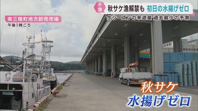 秋サケ漁解禁　４年連続で解禁日の水揚げゼロ　宮城・南三陸町