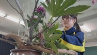 “迫力”ある作品で目指すは花いけバトル全国出場！飯山高校フラワーアレンジメント部　香川【青春のキセキ】