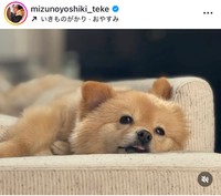 水野良樹インスタグラム＠mizunoyoshiki_tekeより