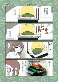 【漫画】『「亀飼いしか知らない世界」な4コマまとめ。』1（カメユさん提供）