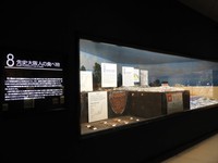 「先史大阪人の食べ物」のコーナーに、どんぐりが展示されています（提供：大阪市立自然史博物館）