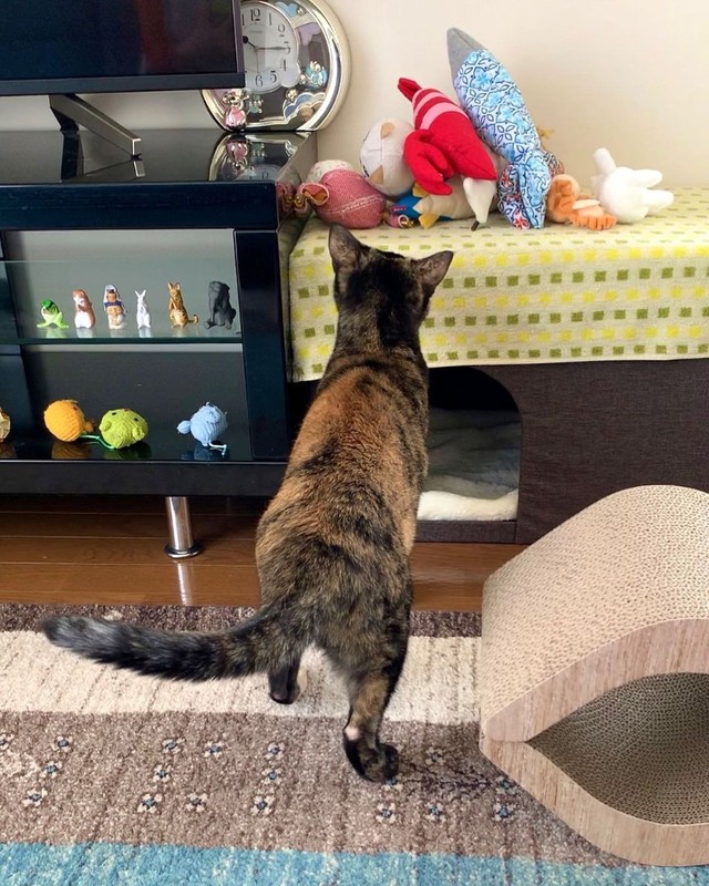 お母さんが「足がガニ股」って言うの