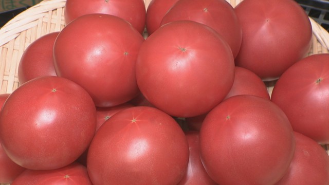 岡山県産ブランドトマト「桃太郎シルク」