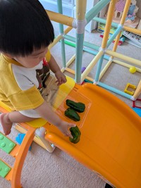 ピーマンに滑り台を楽しませる光景（提供：しらぴ(猫の下僕)さん）