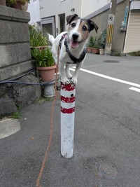こんなこともできちゃいます