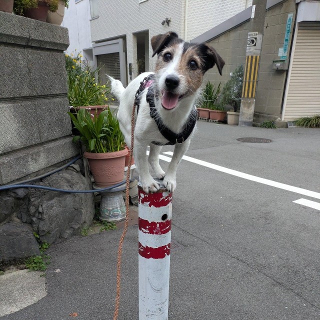 こんなこともできちゃいます