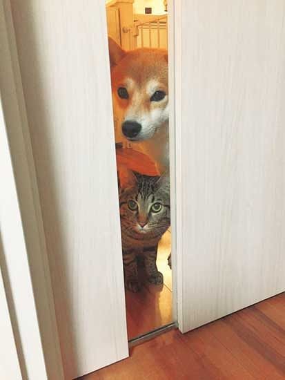 「誰かな」「誰だろ」（ぴあ提供）