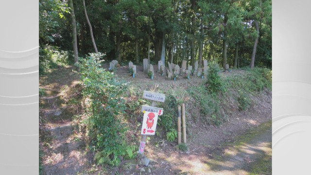 大興寺道　提供：観音寺市