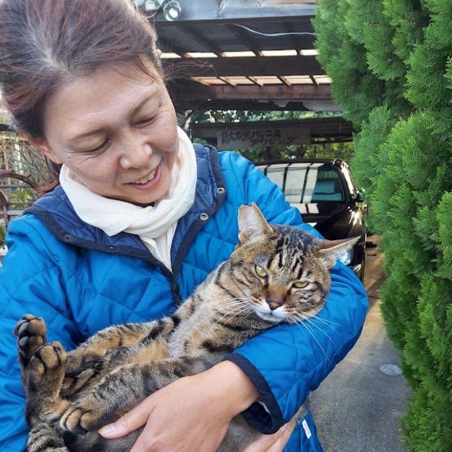 地域猫だったシマちゃん（画像提供：パン工房アウビングさん）