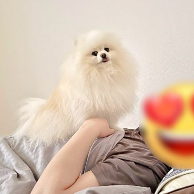 「パパ、起きないよ？」 とママに訴えるコロ太くん（画像提供：コロ太くん）